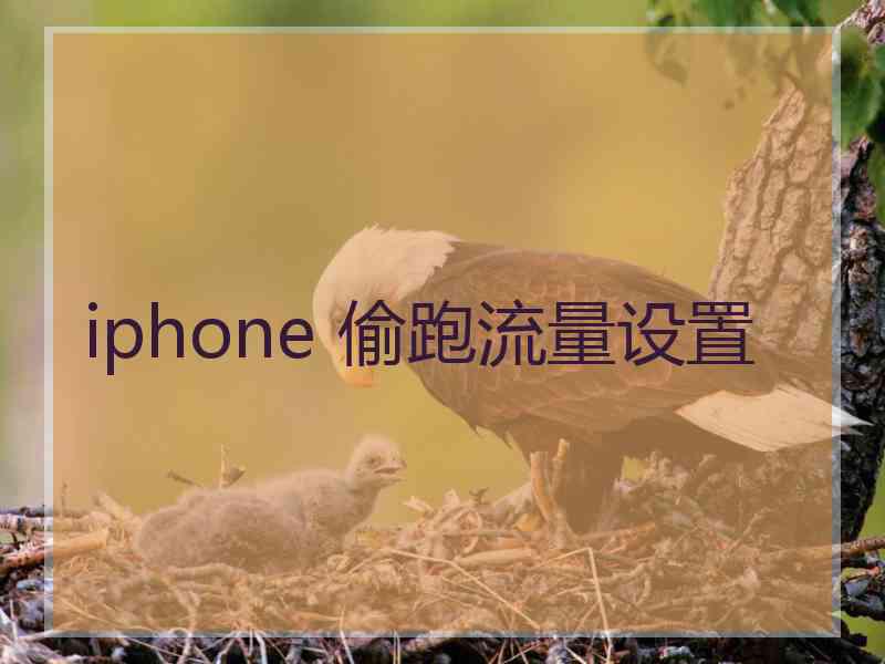 iphone 偷跑流量设置