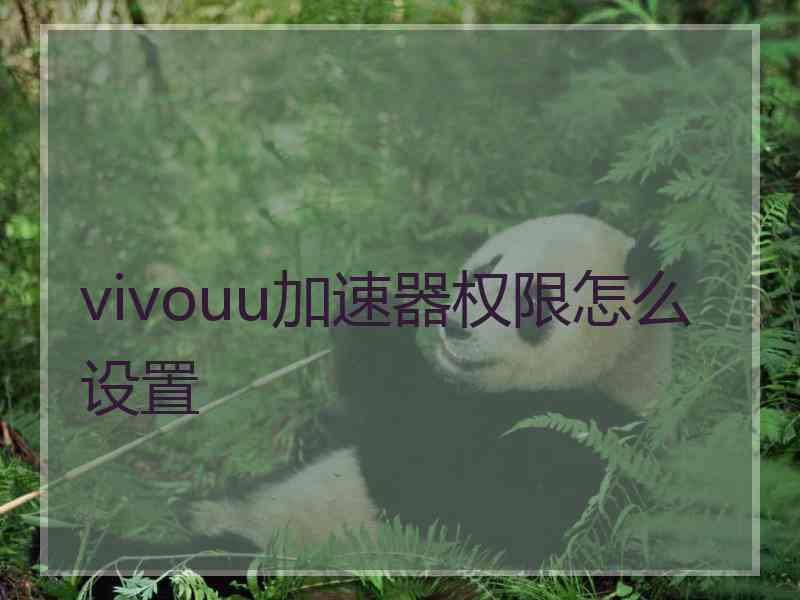vivouu加速器权限怎么设置