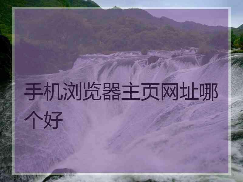 手机浏览器主页网址哪个好