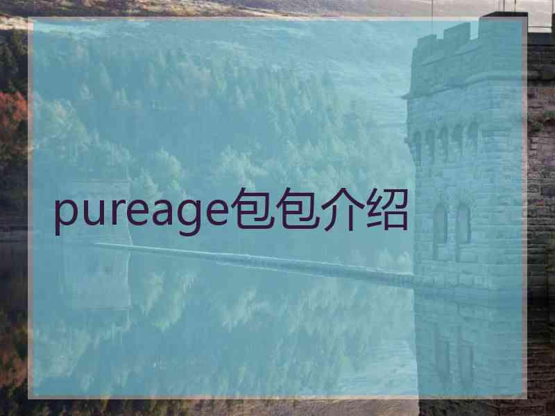 pureage包包介绍