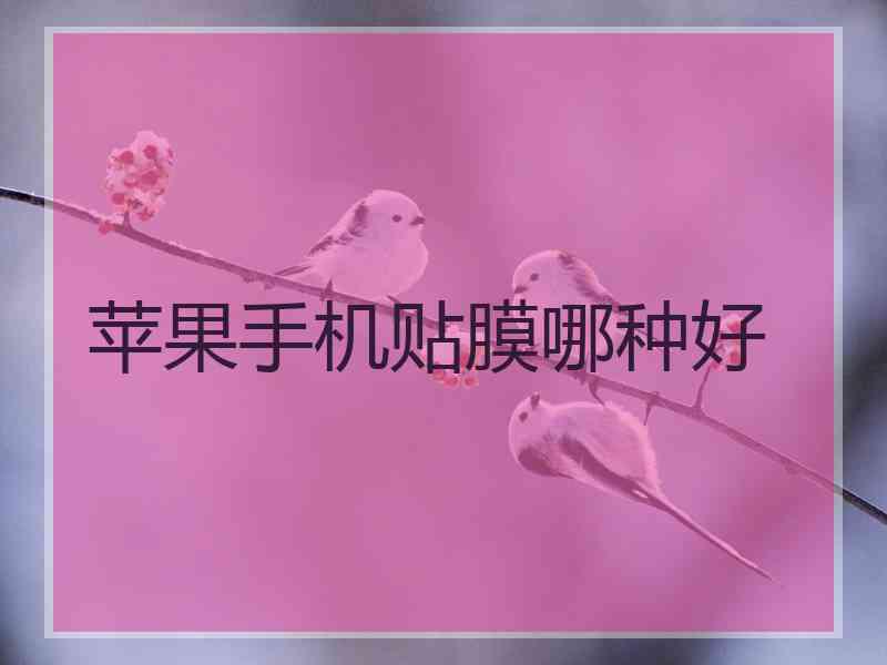 苹果手机贴膜哪种好