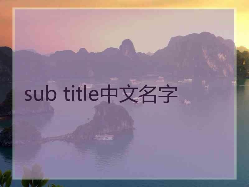 sub title中文名字