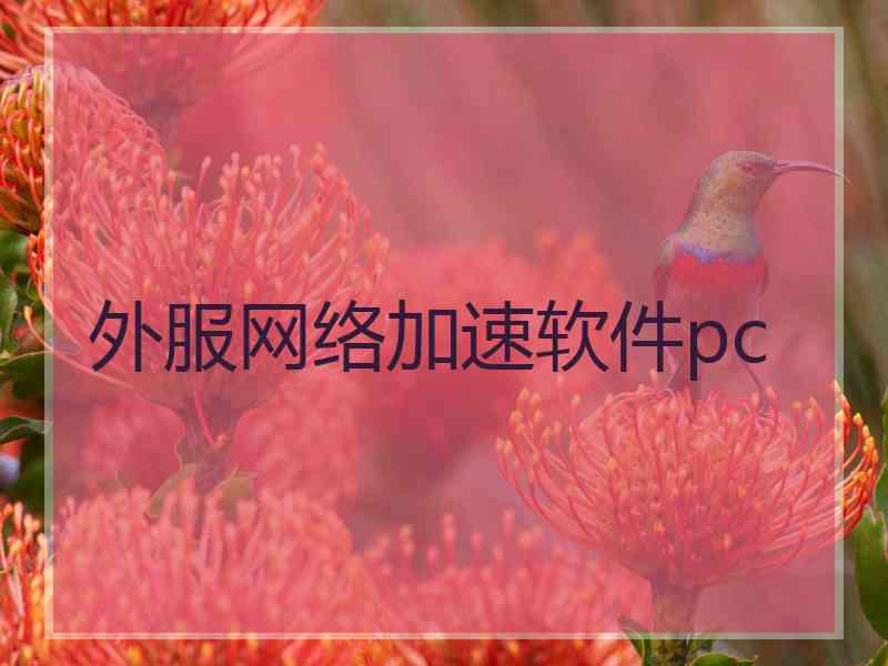 外服网络加速软件pc