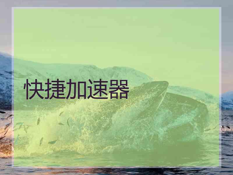 快捷加速器