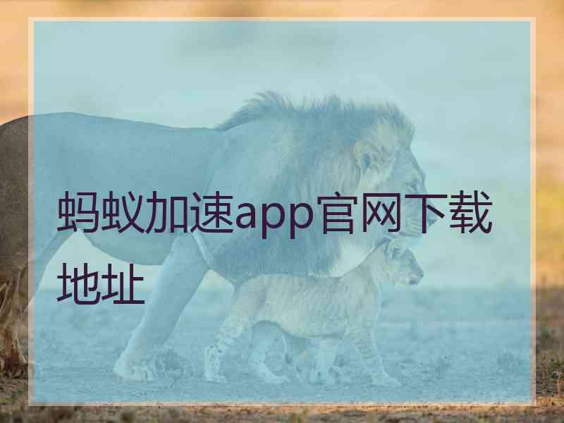 蚂蚁加速app官网下载地址