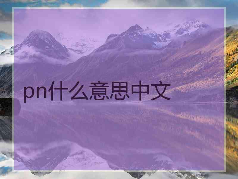 pn什么意思中文