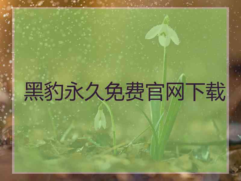 黑豹永久免费官网下载