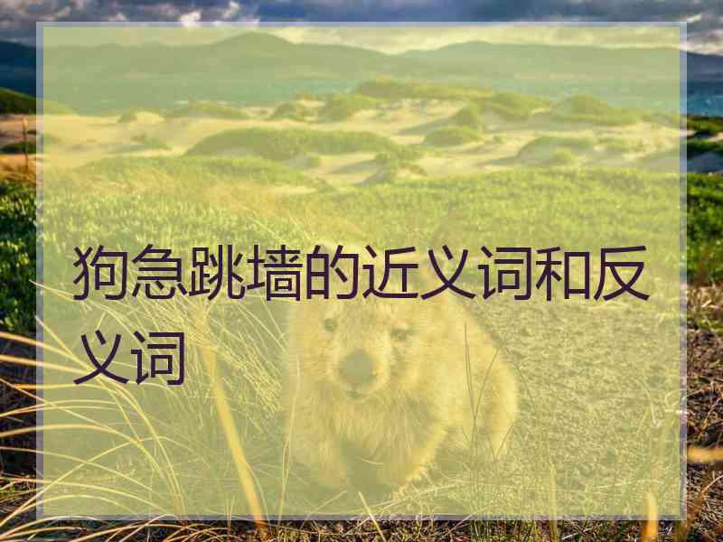 狗急跳墙的近义词和反义词