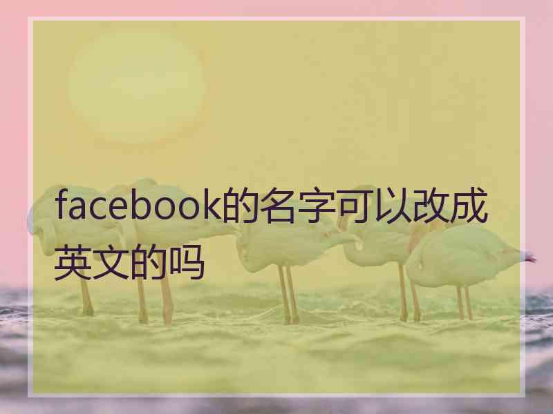 facebook的名字可以改成英文的吗