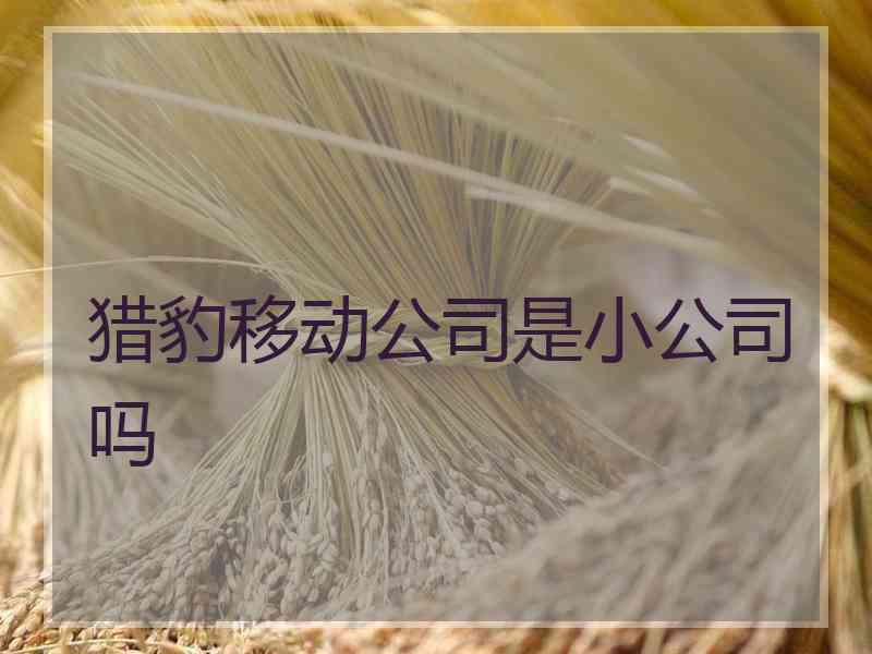 猎豹移动公司是小公司吗