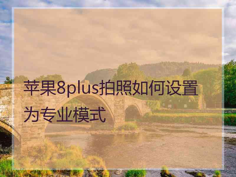 苹果8plus拍照如何设置为专业模式