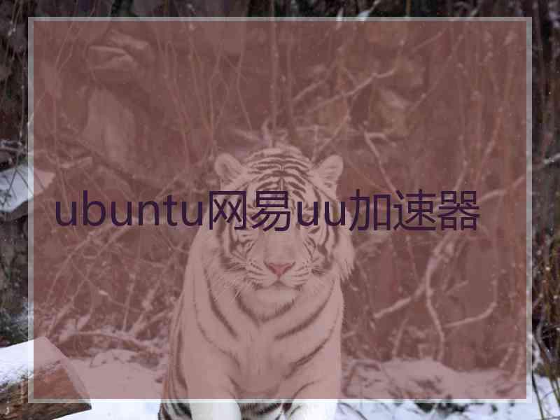 ubuntu网易uu加速器