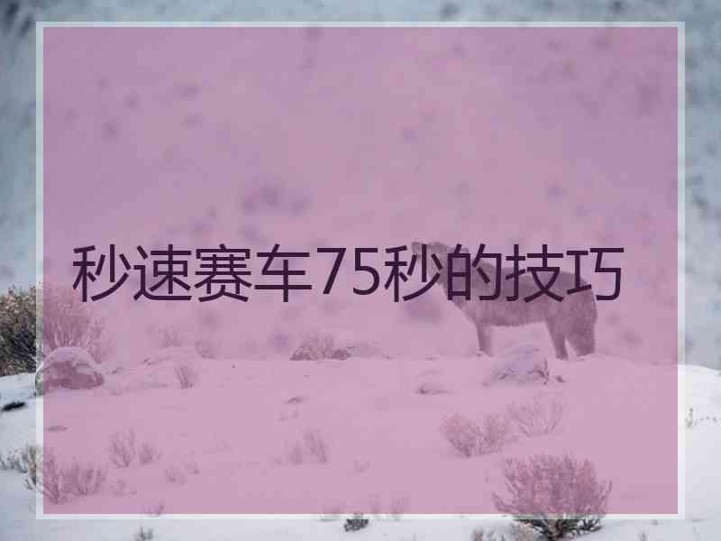秒速赛车75秒的技巧