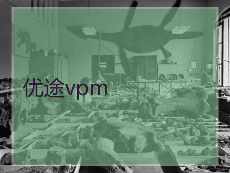 优途vpm