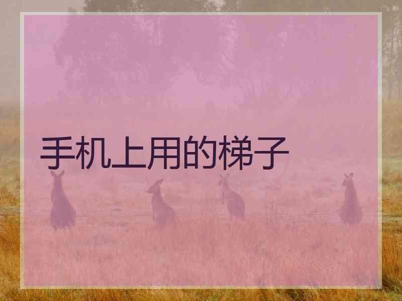 手机上用的梯子