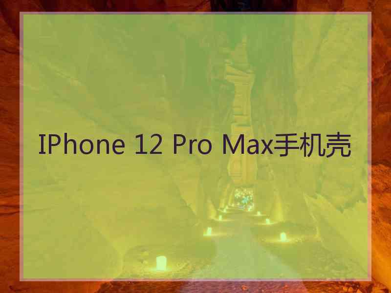 IPhone 12 Pro Max手机壳