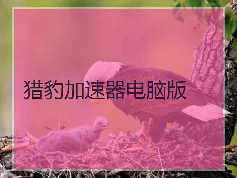 猎豹加速器电脑版