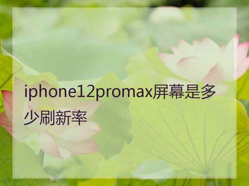 iphone12promax屏幕是多少刷新率