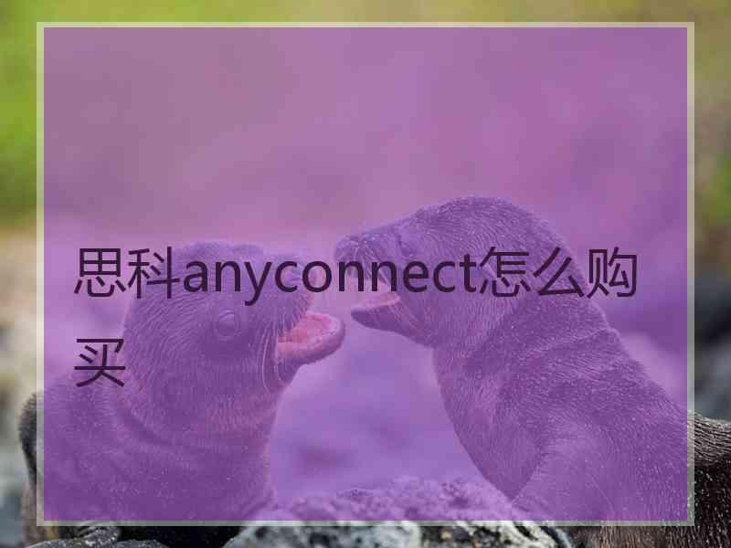 思科anyconnect怎么购买