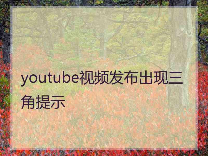 youtube视频发布出现三角提示