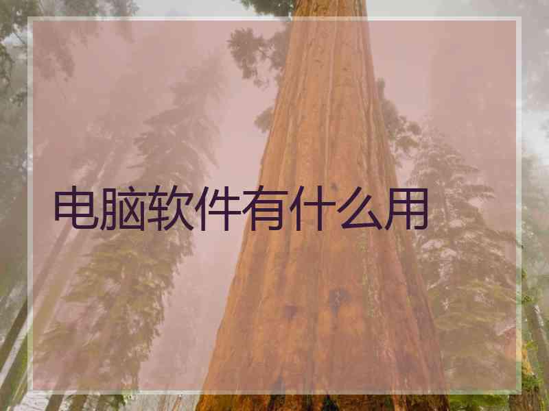 电脑软件有什么用