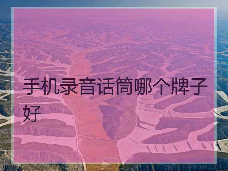 手机录音话筒哪个牌子好