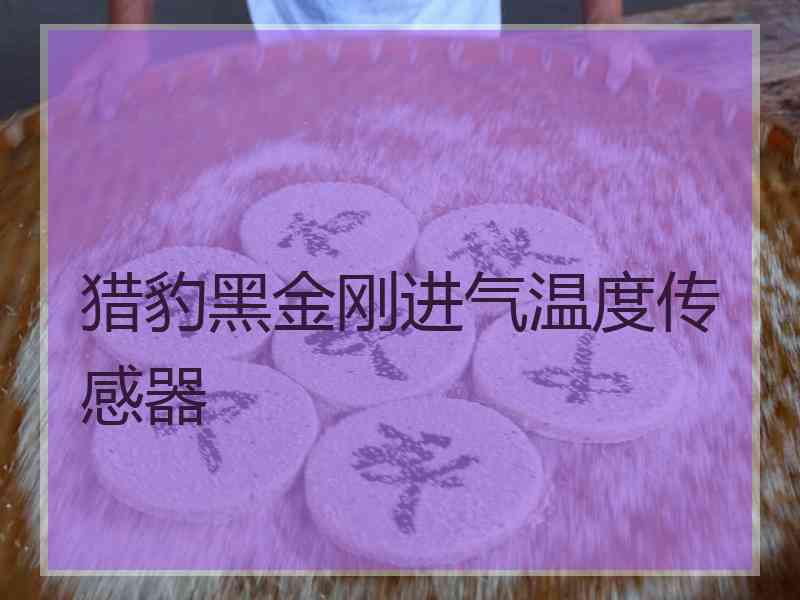 猎豹黑金刚进气温度传感器