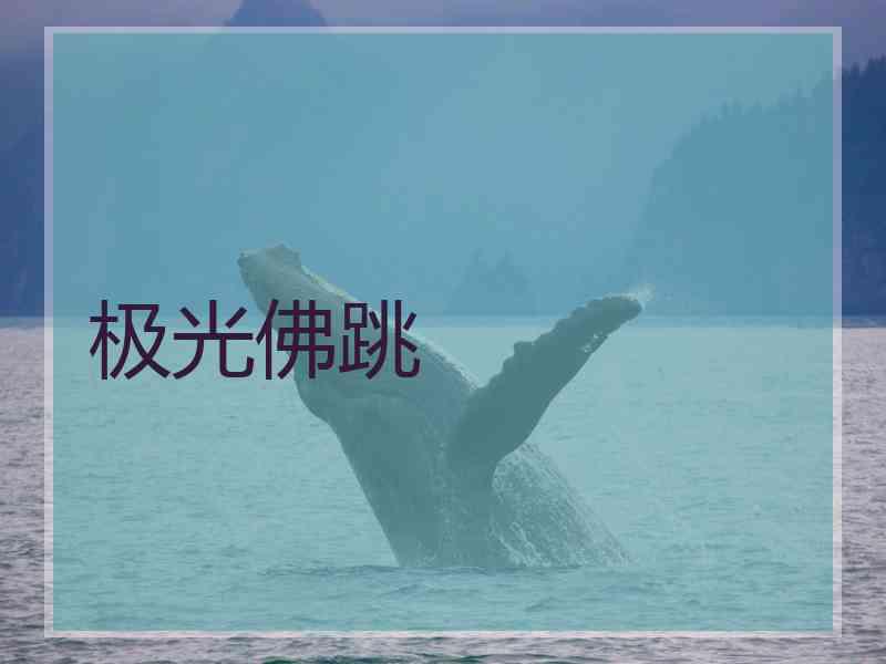 极光佛跳