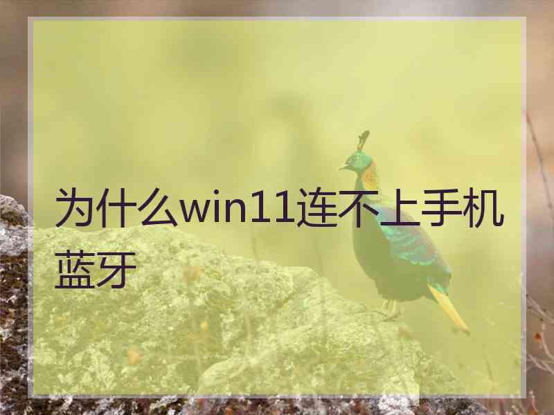 为什么win11连不上手机蓝牙