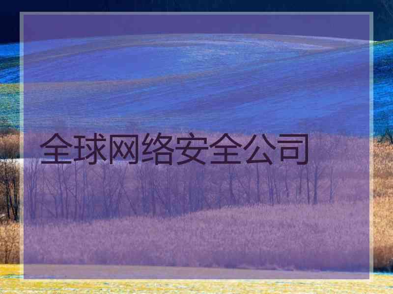 全球网络安全公司