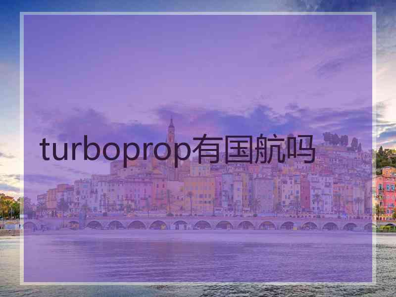 turboprop有国航吗