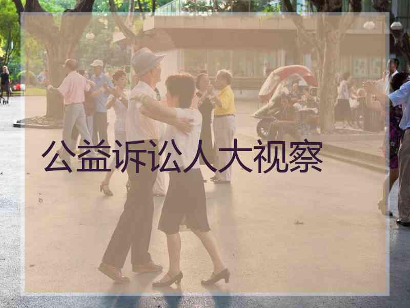 公益诉讼人大视察