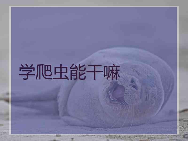 学爬虫能干嘛