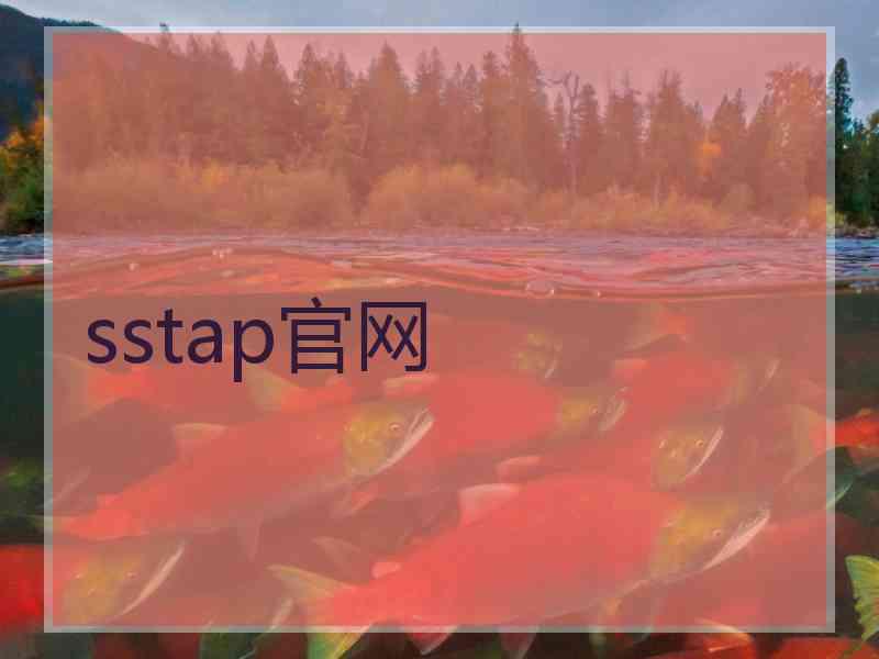 sstap官网