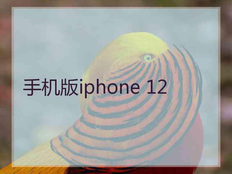 手机版iphone 12