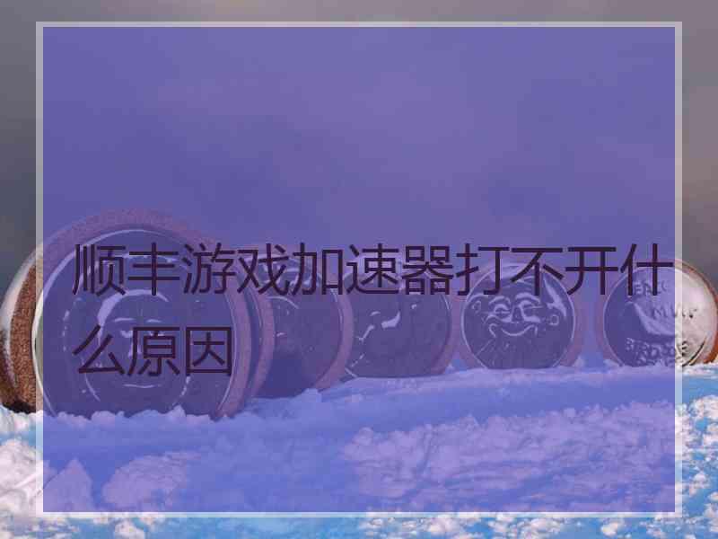 顺丰游戏加速器打不开什么原因
