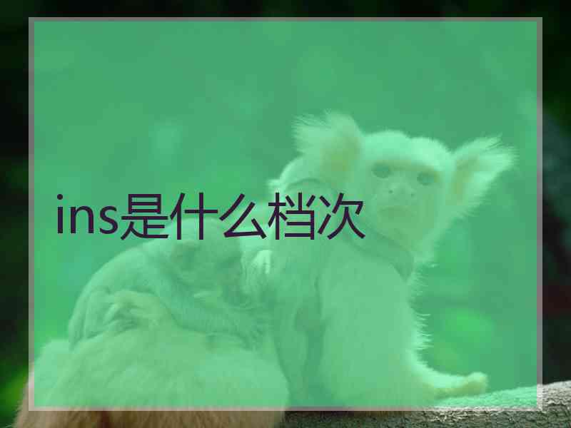 ins是什么档次