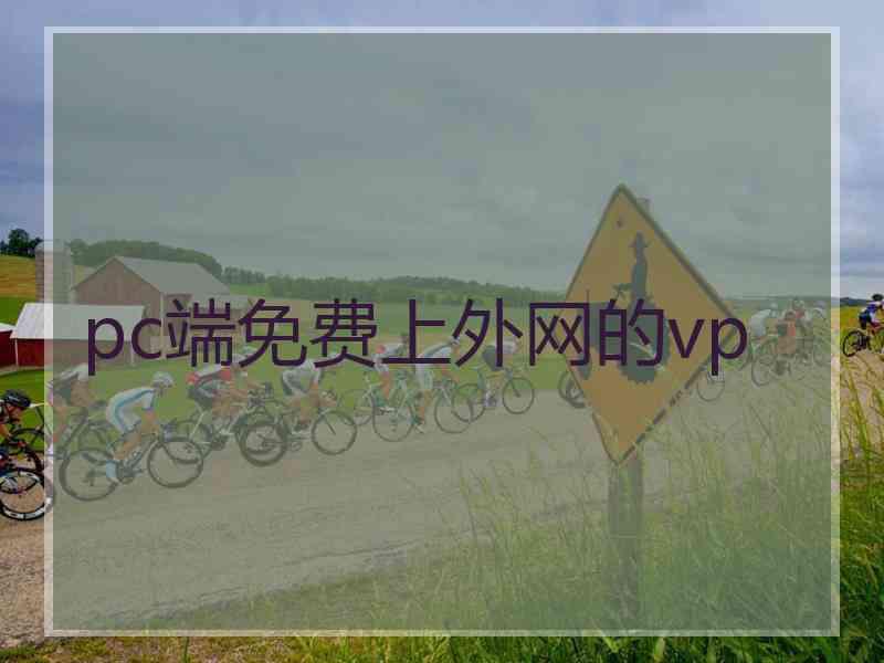 pc端免费上外网的vp