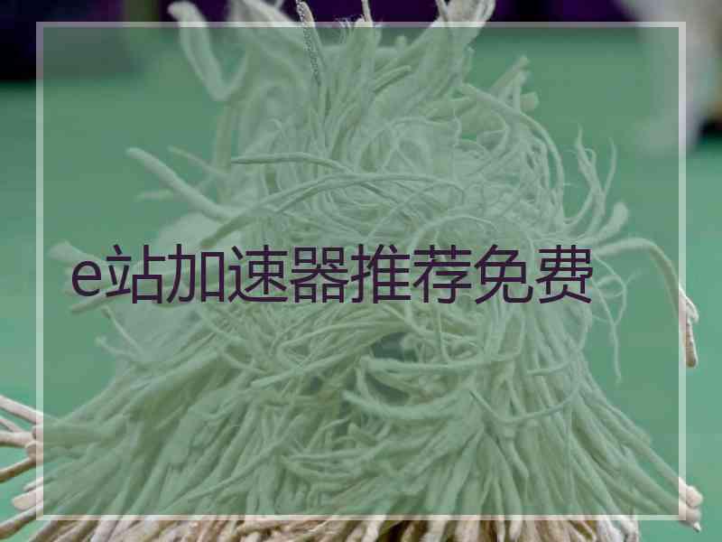 e站加速器推荐免费
