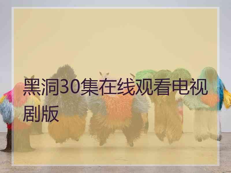 黑洞30集在线观看电视剧版