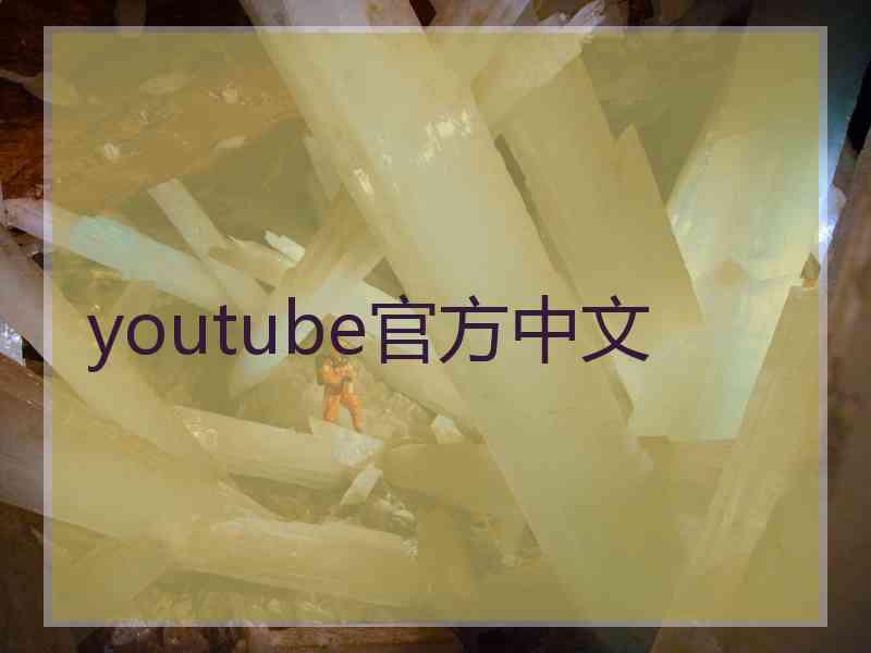 youtube官方中文