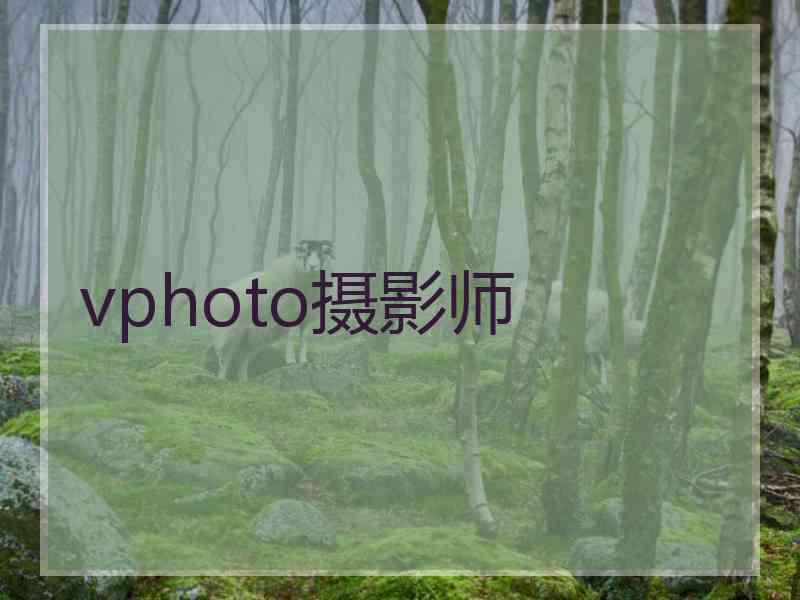 vphoto摄影师