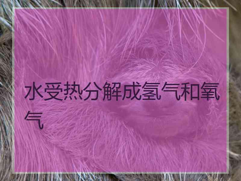 水受热分解成氢气和氧气