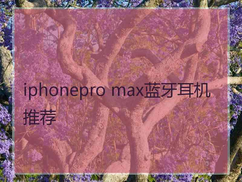 iphonepro max蓝牙耳机推荐