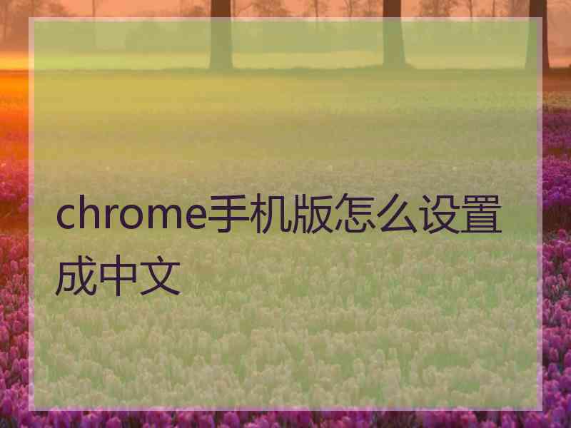 chrome手机版怎么设置成中文