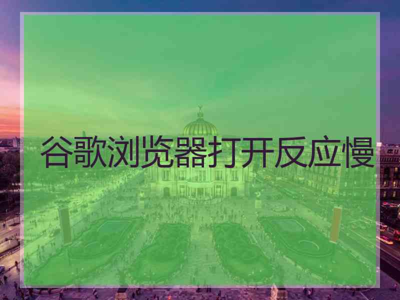 谷歌浏览器打开反应慢