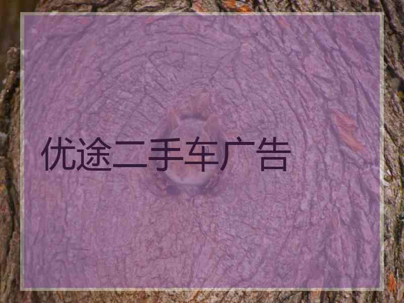 优途二手车广告