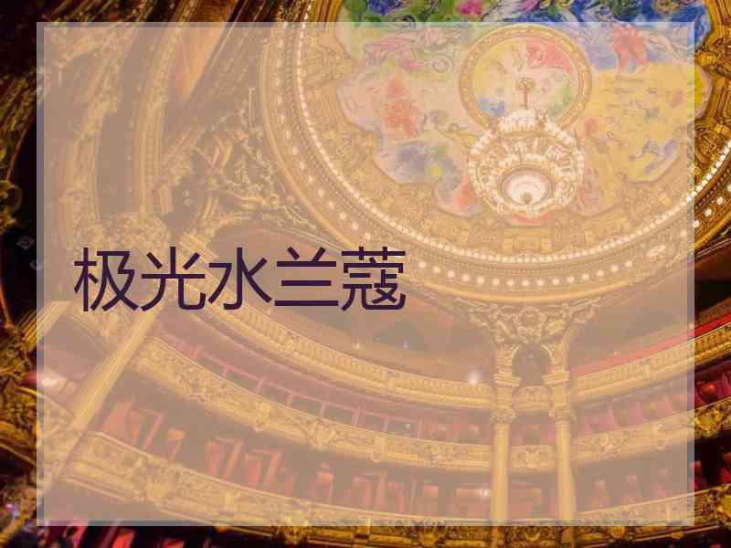 极光水兰蔻