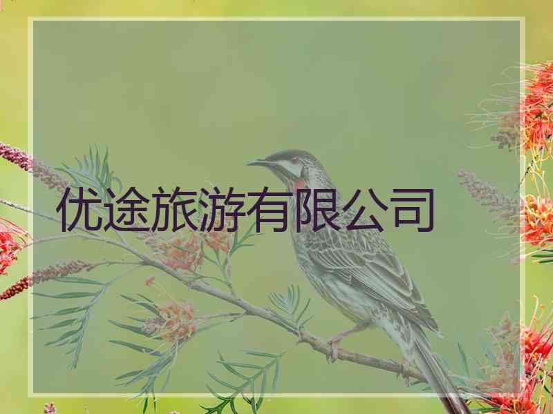 优途旅游有限公司