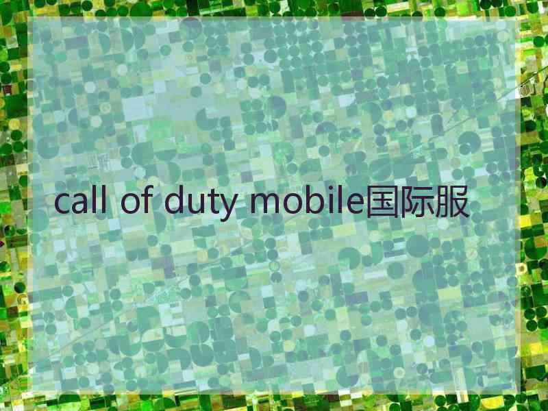 call of duty mobile国际服